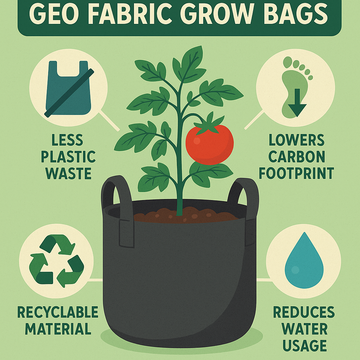The Environmental Benefits of Geo Fabric Grow Bags 🌿🌎🪴