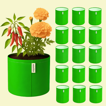 ROOTSY 9x9 Small Grow Bag for Terrace Garden, Premium HDPE 260 GSM, Green Plant Bags